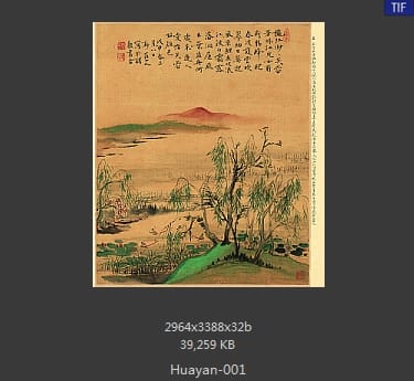 华岩-花卉山水