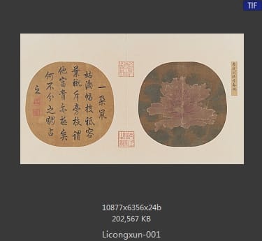 李从训-牡丹春满图