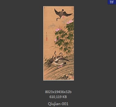 丘鉴-芙蓉芦雁图