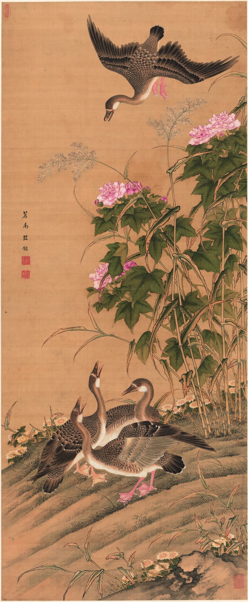 芙蓉芦雁图