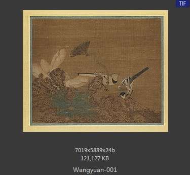 王渊-莲鹡鸰图