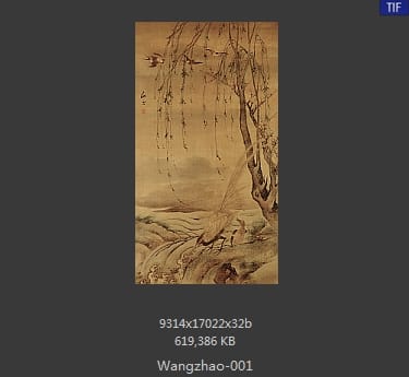 汪肇-柳禽白鹇图