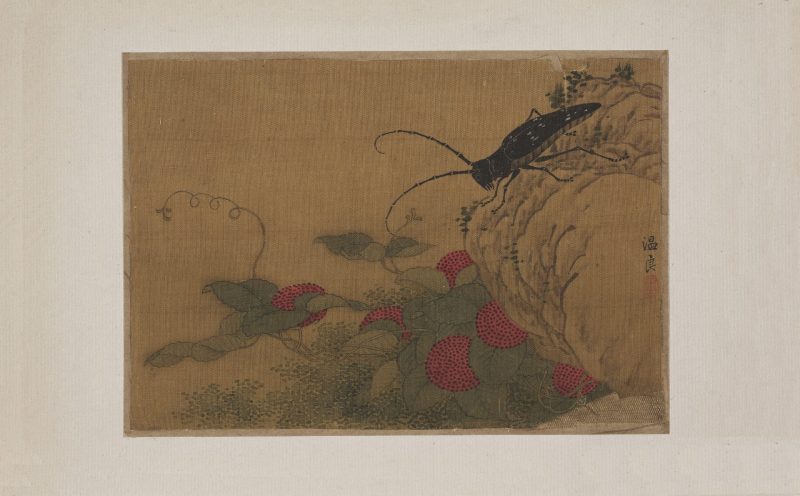 草虫册页