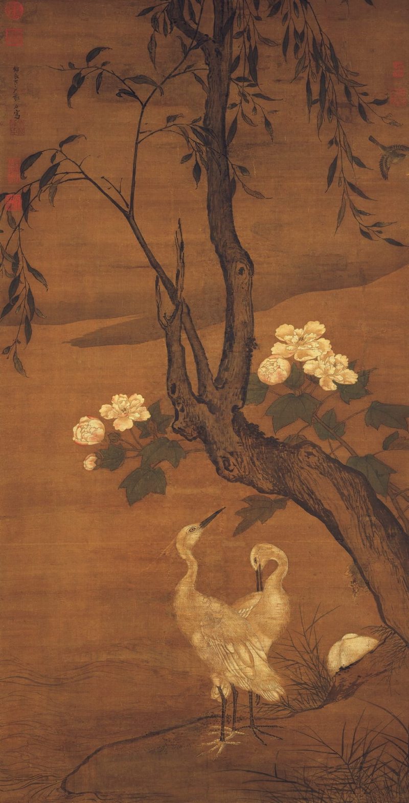 芙蓉白鹭图