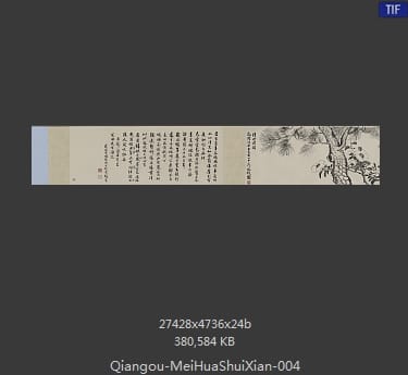 钱榖-梅花水仙图 分段4