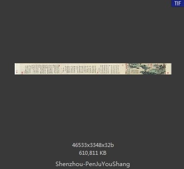 沈周-盆菊图 分段1