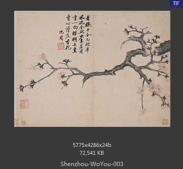 沈周-卧游