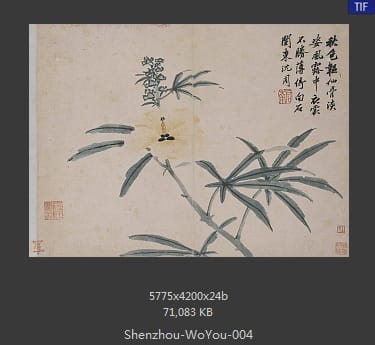 沈周-卧游