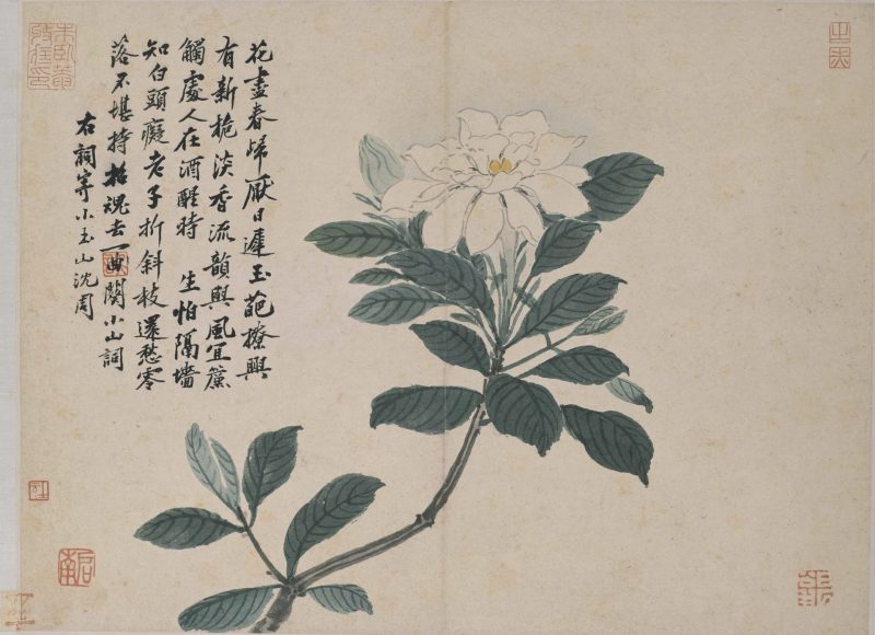 卧游