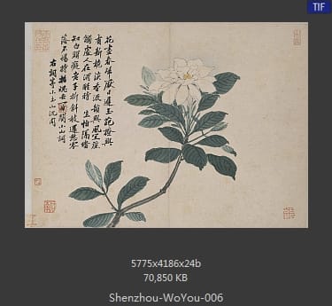沈周-卧游