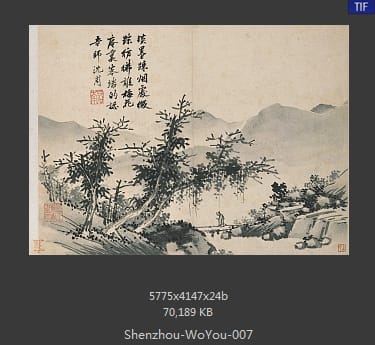 沈周-卧游
