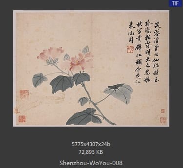 沈周-卧游