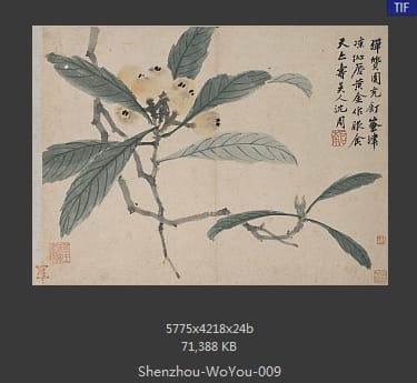 沈周-卧游