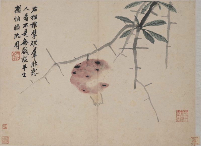 卧游
