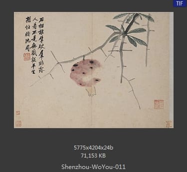 沈周-卧游