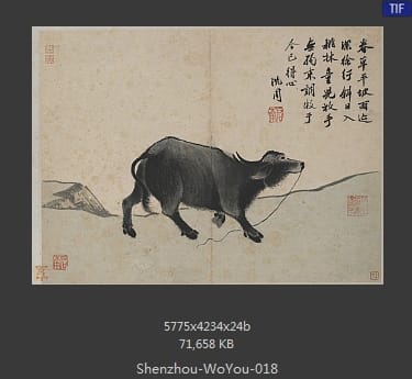 沈周-卧游