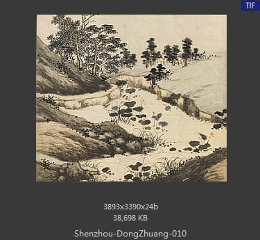 沈周-东庄图册