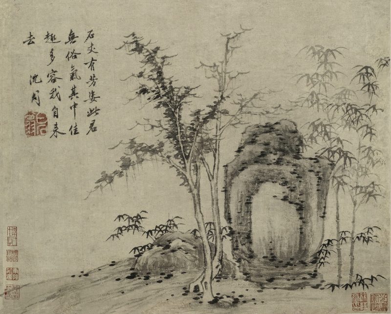 石竹图