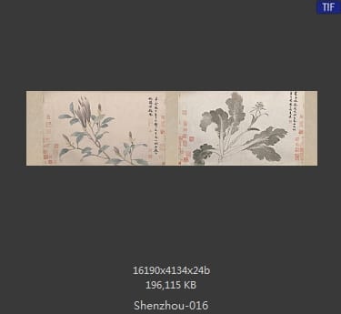 沈周-辛夷墨菜图
