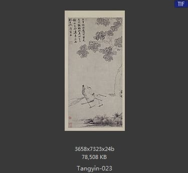 唐寅-桐荫清梦图