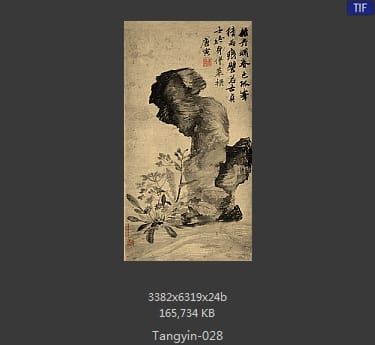 唐寅-立石丛卉图