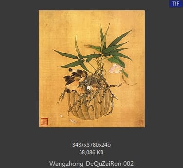 汪中-得趣在人册