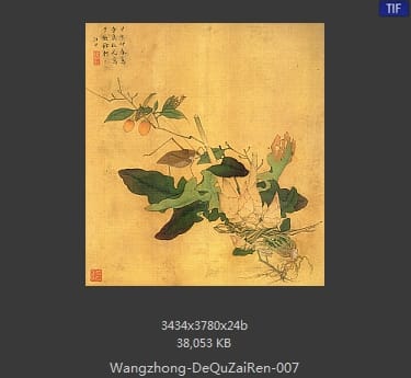 汪中-得趣在人册