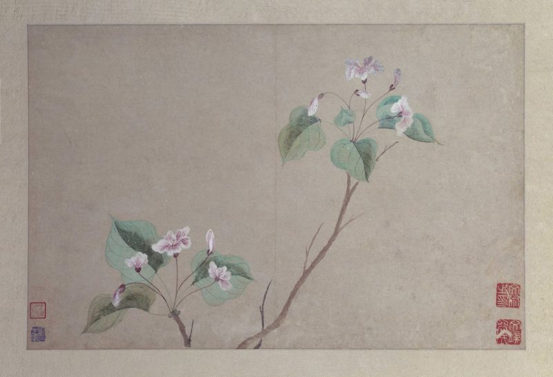 花卉图册页