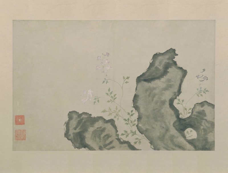 花卉图册页