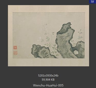 文俶-花卉图册页