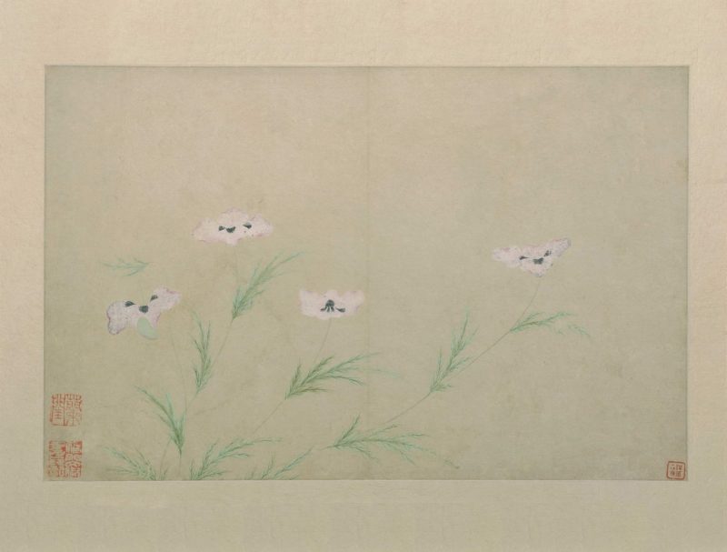 花卉图册页