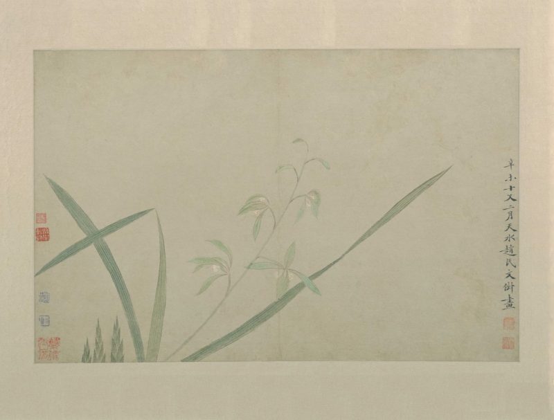 花卉图册页