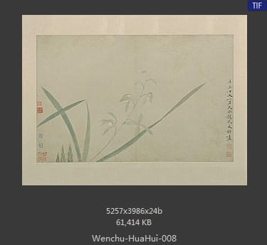 文俶-花卉图册页