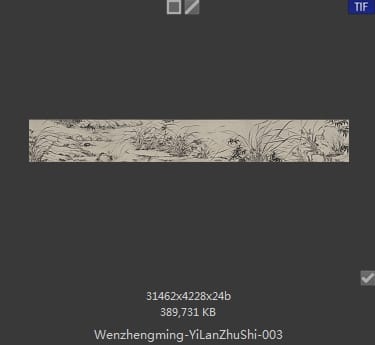 文征明-漪兰竹石图 分段3