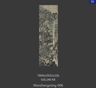 文征明-古木寒泉图