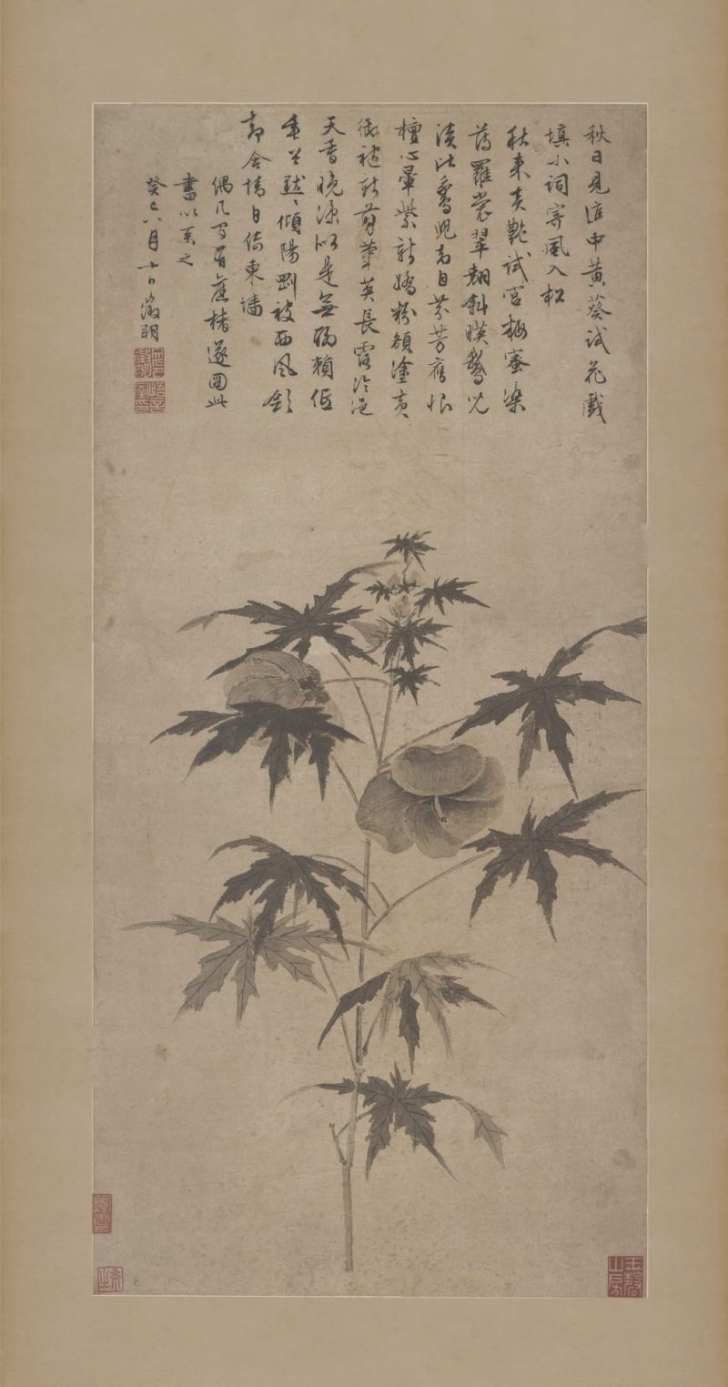 秋葵折枝图