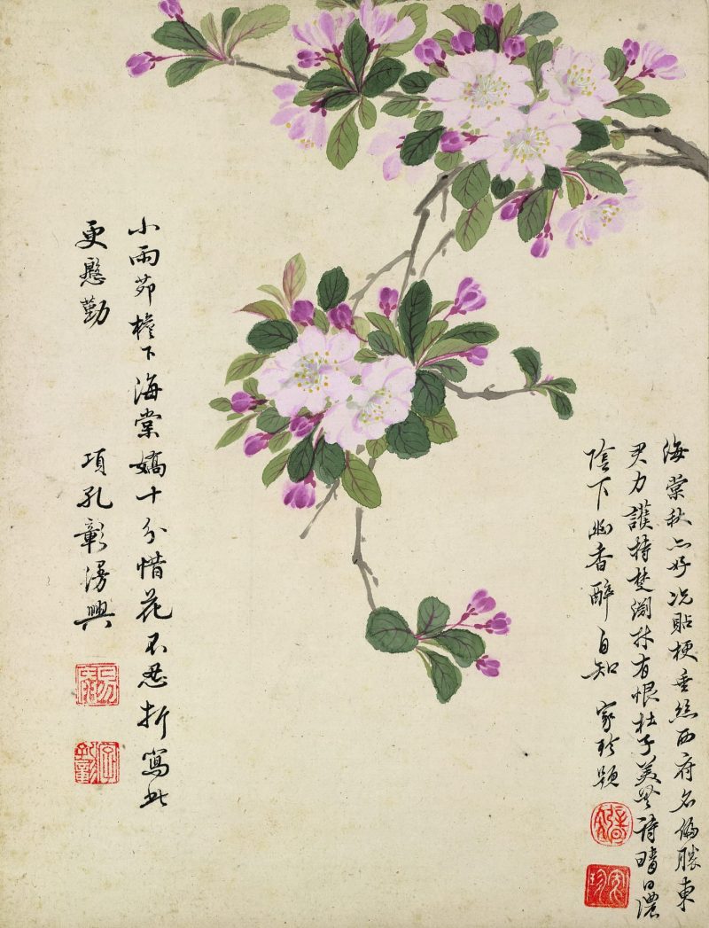 花卉