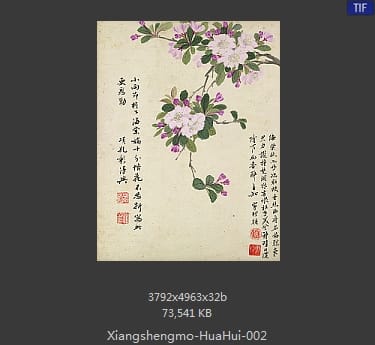 项圣漠-花卉