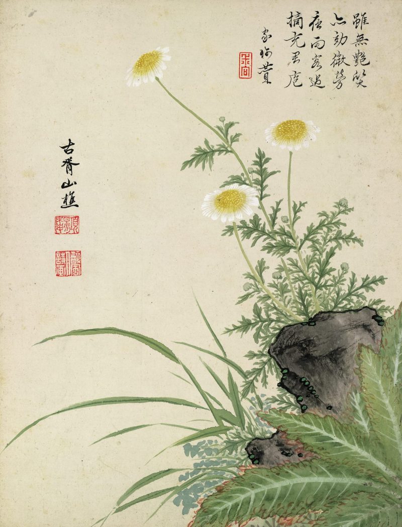 花卉
