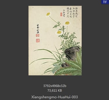 项圣漠-花卉
