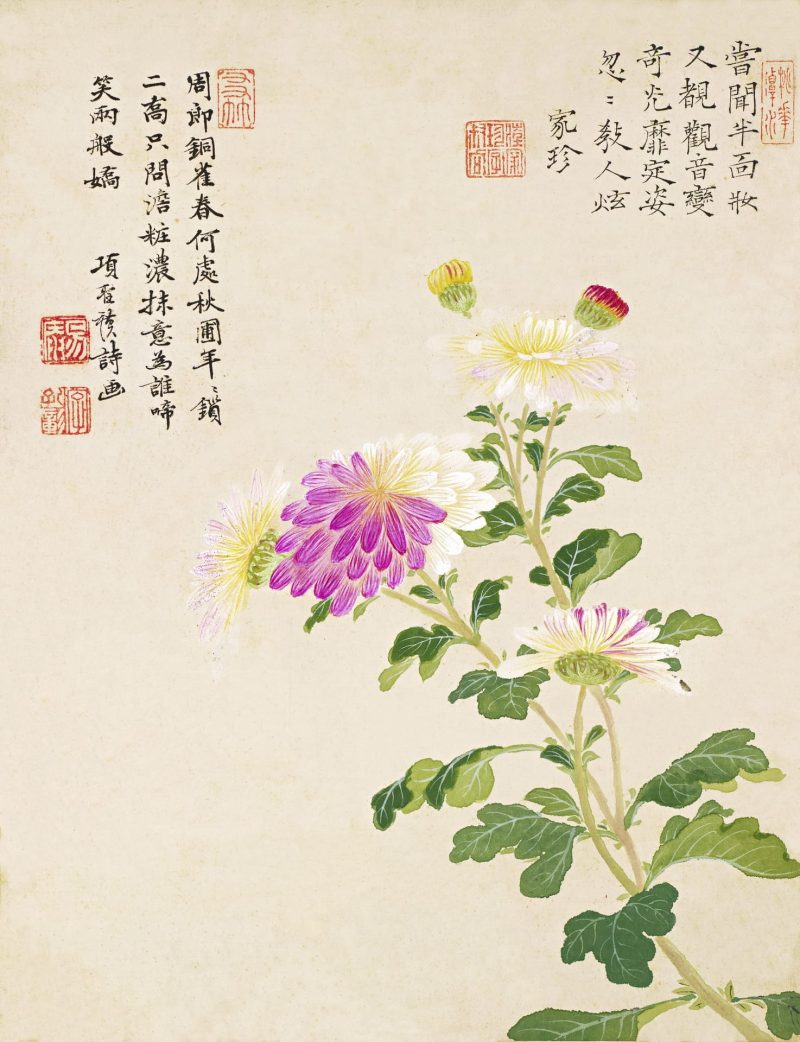 花卉
