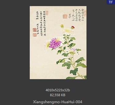 项圣漠-花卉