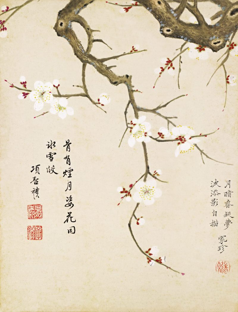 花卉