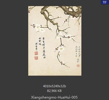 项圣漠-花卉