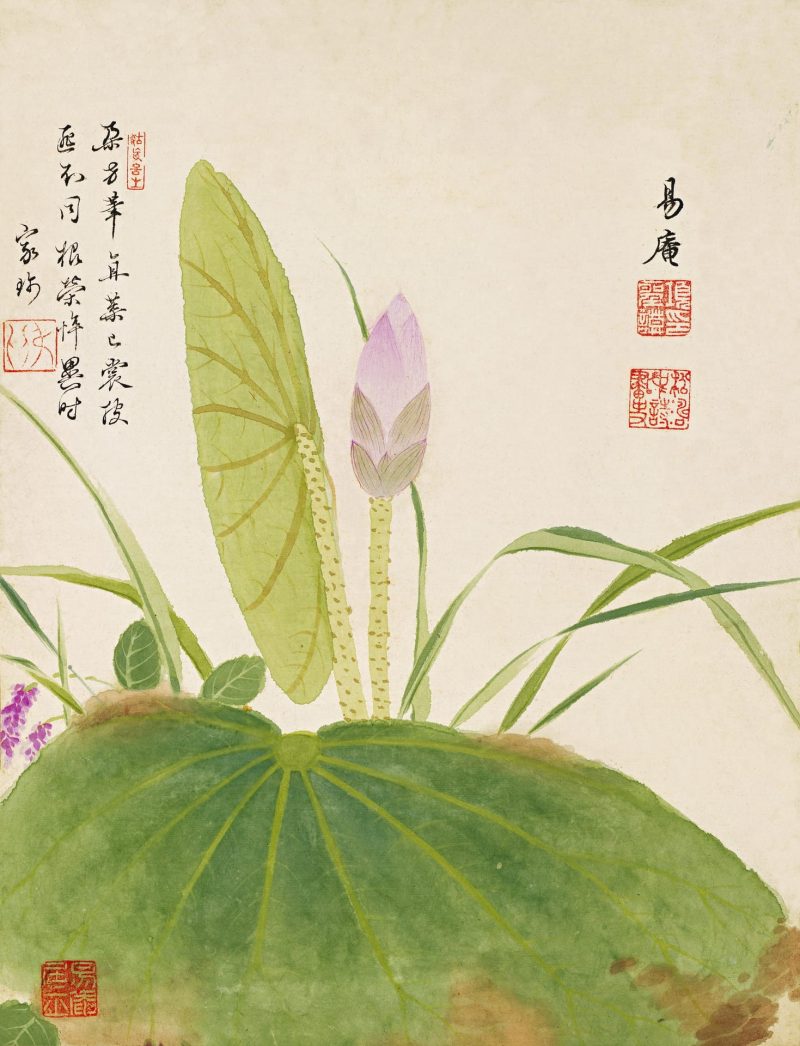 花卉
