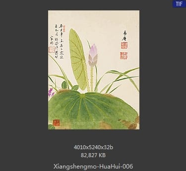 项圣漠-花卉