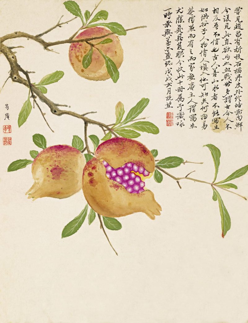 花卉