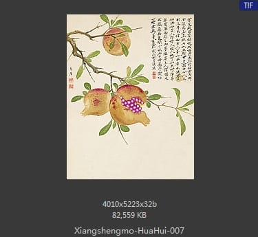 项圣漠-花卉