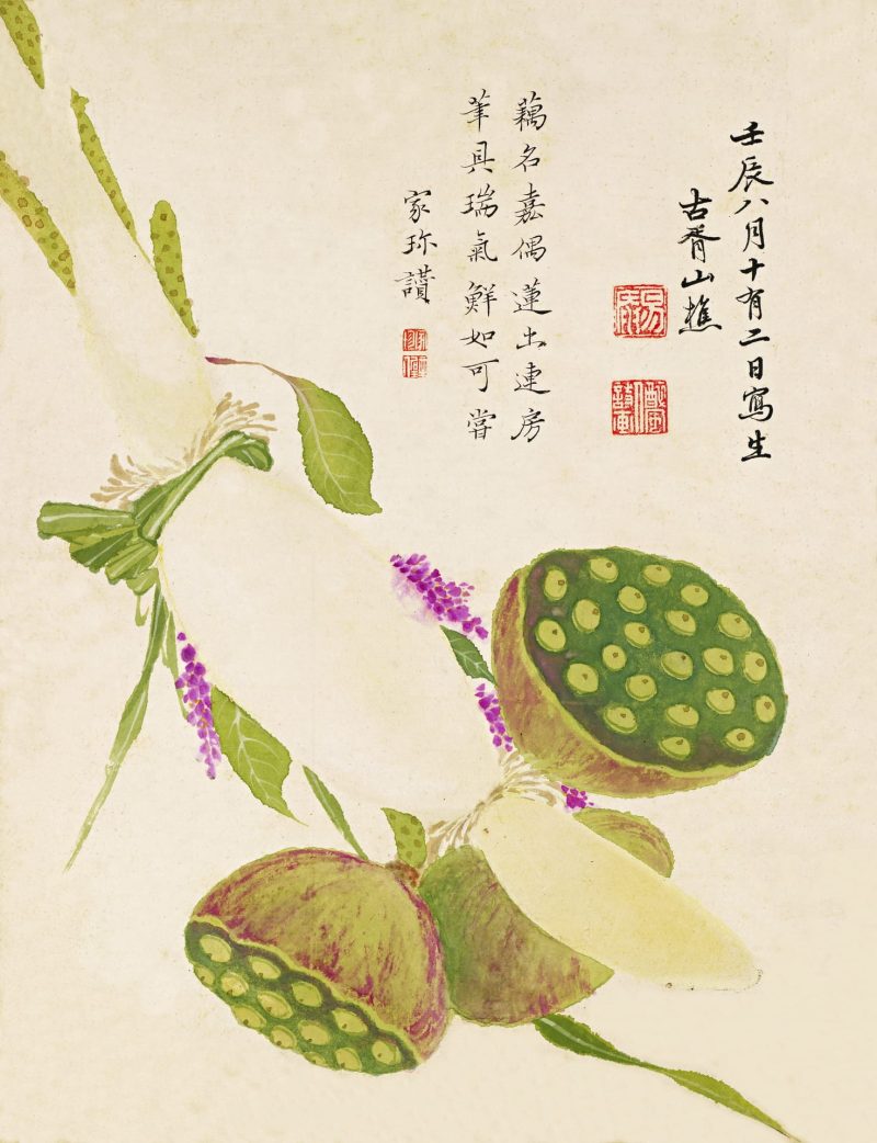 花卉