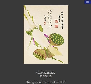 项圣漠-花卉